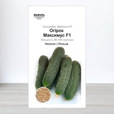 Насіння огірка бджолозапильного Максимус F1, Польща, Marvel, 3г, 90-100 насінин