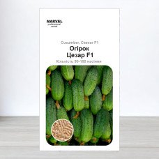 Насіння огірка бджолозапильного Цезар F1, Польща, Marvel, 3г, 90-100 насінин