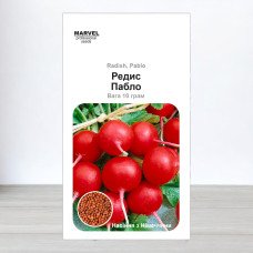 Насіння редису Пабло, Німеччина, Marvel, 10г