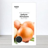 Насіння цибулі Халцедон, Україна, Marvel, 5г