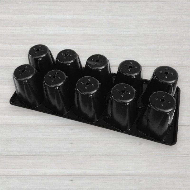 Парничок, касета для розсади з піддоном та кришкою, 10 осередків