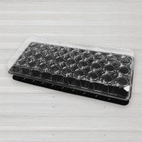 Парник, касета для розсади з піддоном і кришкою, 40 комірок