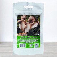 Гриб Міцелій Глива Королівська, Яскрава, 50г (Міцелії грибів)