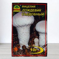 Гриб Міцелій Дощовик Їстівний, 10г (Міцелії грибів)