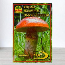 Гриб Міцелій Маслюки Звичайні, 10г (Міцелії грибів)