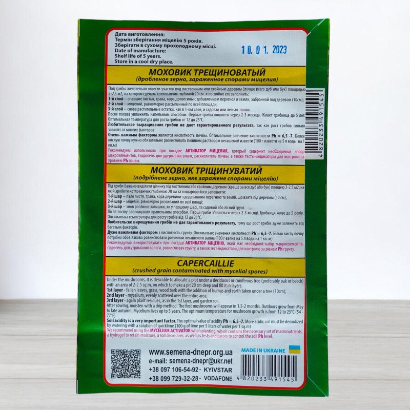 Гриб Міцелій Моховик Тріщинуватий, 10г (Міцелії грибів)