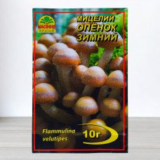 Гриб Міцелій Опеньок Зимовий, 10г (Міцелії грибів)