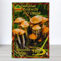 Гриб Міцелій Опеньок Луговий, 10г (Міцелії грибів)