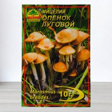 Гриб Міцелій Опеньок Луговий, 10г (Міцелії грибів)