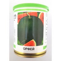 Насіння кавуна Орфей, Україна, Marvel, банка 100г