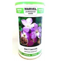 Насіння матіоли Нічна Фіалка, Україна, Marvel, банка 500г
