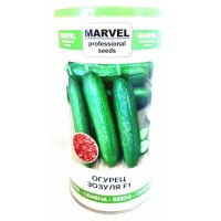 Насіння огірка партенокарпічного Зозуля F1, Україна, Marvel, банка 500г