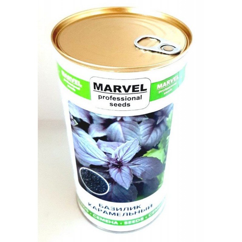 Насіння базиліка Карамельний Фіолетовий, Узбекистан, Marvel, банка 500г