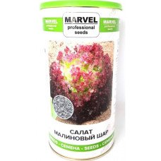 Насіння салату Малинова Куля, Україна, Marvel, банка 500г
