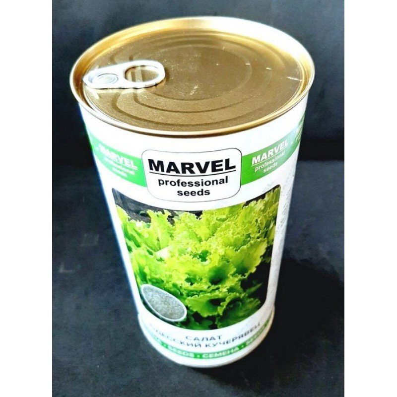 Насіння салату Одеський Кучерявець, Україна, Marvel, банка 500г