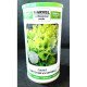 Насіння салату Одеський Кучерявець, Україна, Marvel, банка 500г