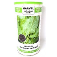 Насіння щавлю Широколистий, Україна, Marvel, банка 500г