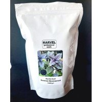 Насіння базиліка Мармуровий, Узбекистан, Marvel, дой-пак 1кг