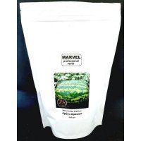 Насіння кавуна Арашан F1, Україна, Marvel, дой-пак 0,5кг