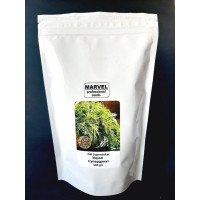 Насіння кропу Супердукат, Україна, Marvel, дой-пак 0,5кг