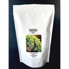 Насіння кропу Супердукат, Україна, Marvel, дой-пак 0,5кг