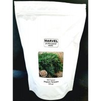 Насіння кропу Татран, Україна, Marvel, дой-пак 0,5кг