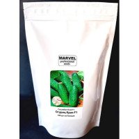 Насіння огірка бджолозапильного Крак F1, Польща, Marvel, дой-пак 0,5кг