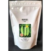 Насіння огірка бджолозапильного Політ Метелика F1, Китай, Marvel, дой-пак 0,5кг