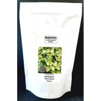 Насіння петрушки Листова, Україна, Marvel, дой-пак 0,5кг