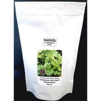 Насіння петрушки листової Урожайна, Україна, Marvel, дой-пак 0,5кг
