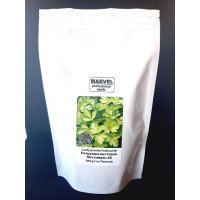 Насіння петрушки листової Фестиваль, Польща, Marvel, дой-пак 0,5кг