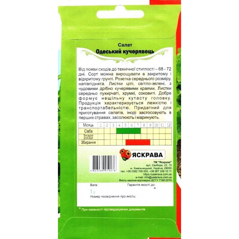 Насіння салату Одеський Кучерявець, Яскрава, 1г