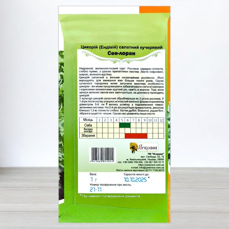 Насіння цикорію салатного кучерявого Сен-Лоран, Яскрава, 1г