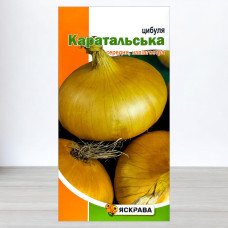 Насіння цибулі Каратальська, Яскрава, 1г