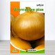 Насіння цибулі Штутгартен Різен, Яскрава, 5г