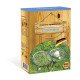 Насіння газонної трави Спортивна, 800г