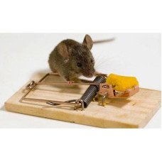 Мишоловка дерев'яна, 105 Х 45 Х 8мм (Засоби від гризунів)