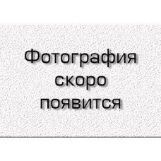 Намет чотиримісний BA-1699, 450 Х 220 Х 180см