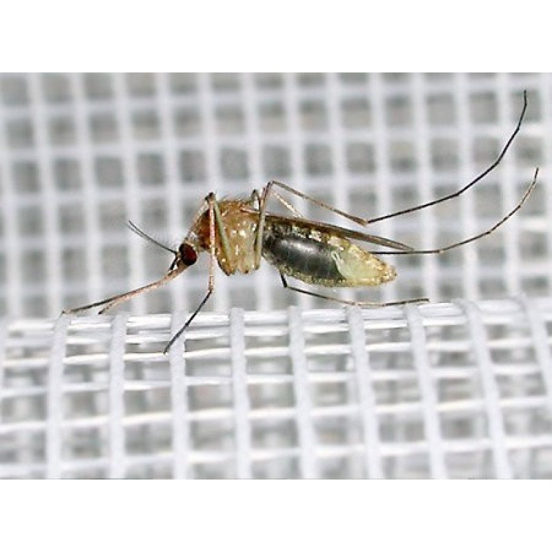 Сітка антимоскітна Євро сіра, ширина 0,9м, рулон 30м