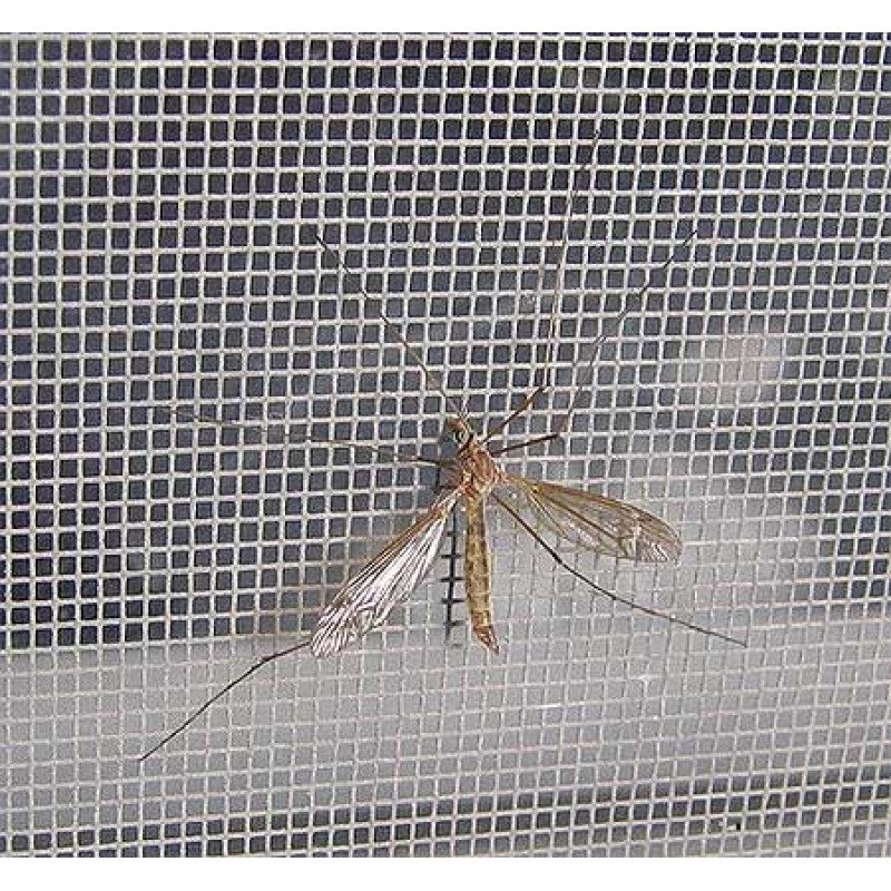 Сітка антимоскітна Панда сіра, ширина 1,2м, рулон 50м