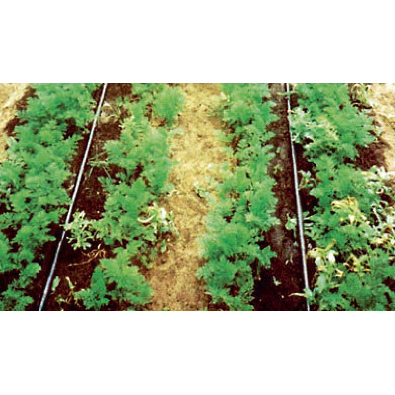 Крапельна стрічка Green Line, 6mil, 20см, 50м