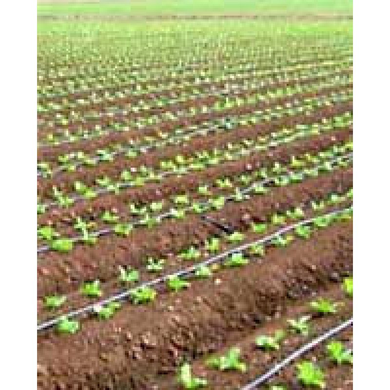 Крапельна стрічка Green Line, 6mil, 20см, 500м