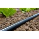 Крапельна трубка багаторічна, 16мм, крок через 50см, 100м