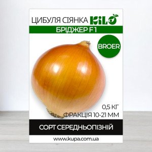 Цибуля сіянка Бріджер F1 Broer, факція 10-21мм, 0,5кг
