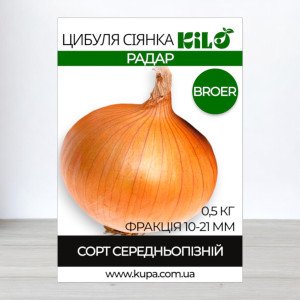Цибуля сіянка Радар Broer, факція 10-21мм, 0,5кг