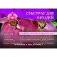 Субстрат для орхідеї, 1л.