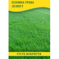 Насіння газонної трави Ліліпут, 100г