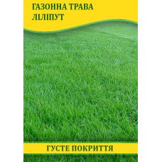 Насіння газонної трави Ліліпут, 100г