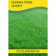 Насіння газонної трави Ліліпут, 100г