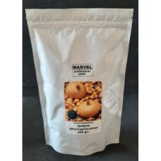 Насіння цибулі Штутгартен Різен, Україна, Marvel, дой-пак 0,5кг